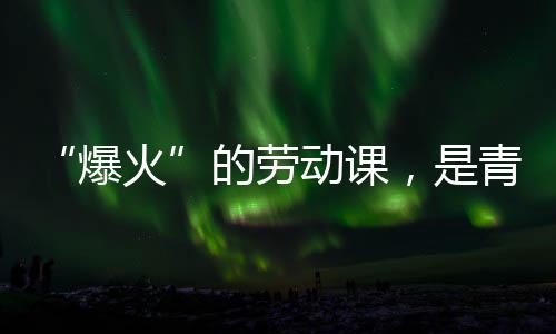 爆热烈青年的劳动课对话，是与社火会的
