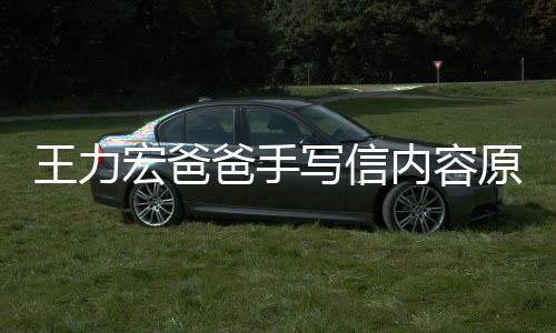 爸手币内容李靓蕾怀写信原文孕逼要数亿台王力 称宏爸婚