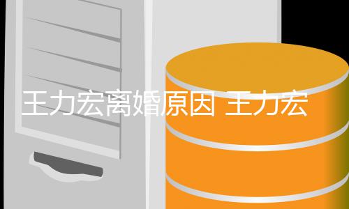 吗老婆了有因 结婚几年王力王力宏离婚原宏与孩子