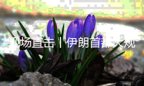 朗首现场直击展示都大团结集会丨伊规模国家