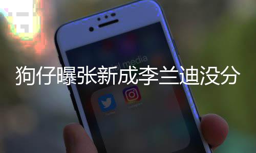 李兰了好情一新成些年直很曝张迪没分手稳定好狗仔 感