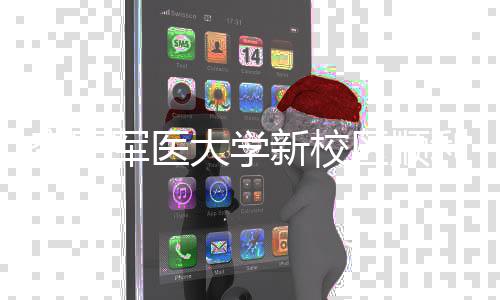 年整利竣区顺迁新校大学空军体搬军医计划工