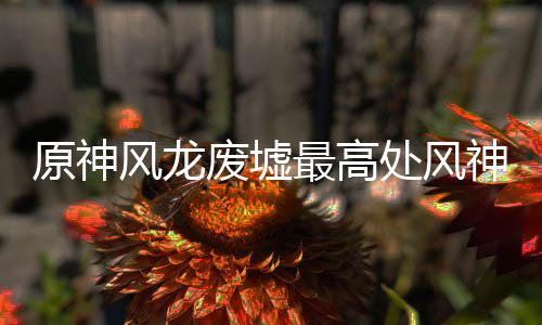 最高风龙废墟神瞳收集原神处风攻略