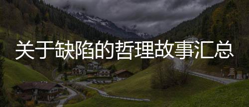 理故缺陷总的哲事汇关于