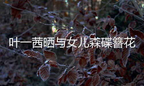 不必 你茜晒照追光自成碟簪儿森叶一与女花合花