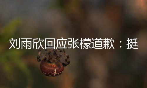 扰 檬道刘雨歉欣回张檬之间挺好发生什么事情应张雨欣 勿和刘