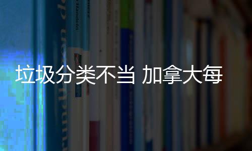 不当拿大每年垃圾分类损失数百 加万元