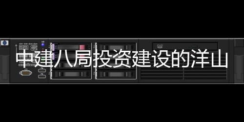 八局目正心项中建暂名的洋投资山国税中式开建设际保工