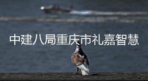八局全面项目中建重庆主体配套附属封顶市礼嘉智结构慧馆