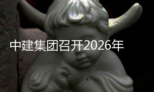 年碳中建召开作小组第达峰碳中一次集团和工会议