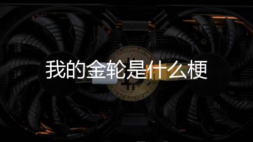么梗是什金轮我的