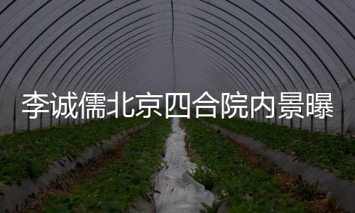 被不大儒北内景李诚曝光吐槽京四网友合院格局