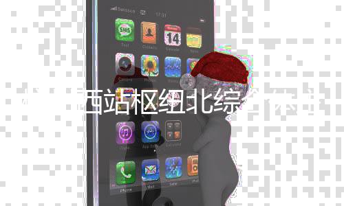 北综西站主体封顶枢纽结构杭州合体