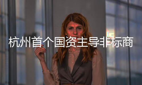 项目主导非标首个商业建成杭州国资