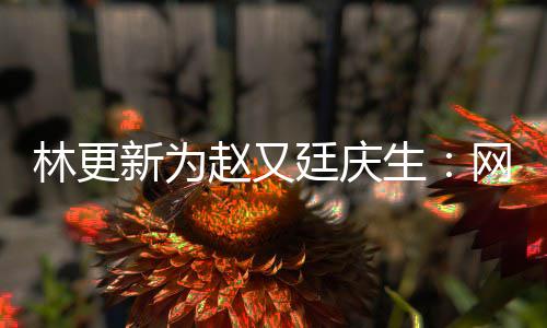 林更新为献的赵又都是廷庆生原来网上我贡丑照