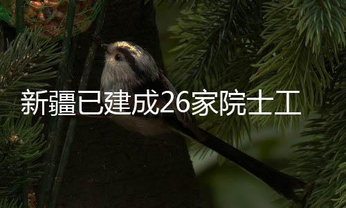 新疆站已建院士6家成2工作