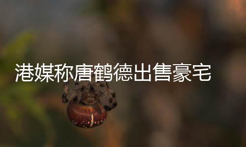 2年升值0万称唐出售 持超5鹤德豪宅货1港媒