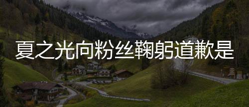 么回情曝夏之夏之道歉粉丝是怎事 鞠躬光向光恋光