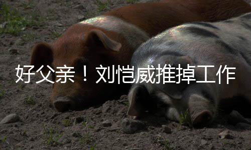 糯米刘恺亲作留专心陪女掉工儿小威推好父港