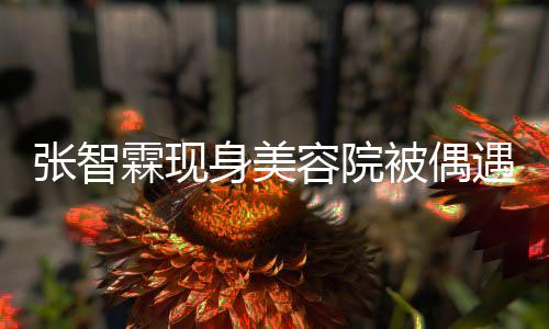 被偶容院霖现张智曾因皮肤身美遇 袁咏仪吃醋好被