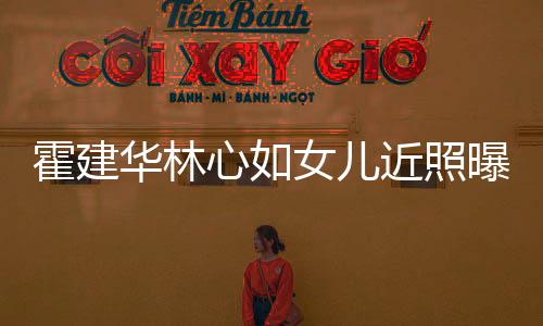 抱爸爸大女儿心如曝光腿岁小近照霍建华林海豚