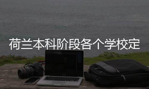 本科学校招生定额阶段荷兰汇总各个