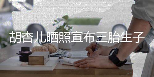 布三男孩 李來了照宣子儿晒胎生又是奕宏胡杏
