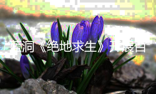 百日蓝洞行动地求开展生绝 坚决打击外为挂行