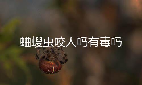 人吗吗蛐螋有毒虫咬