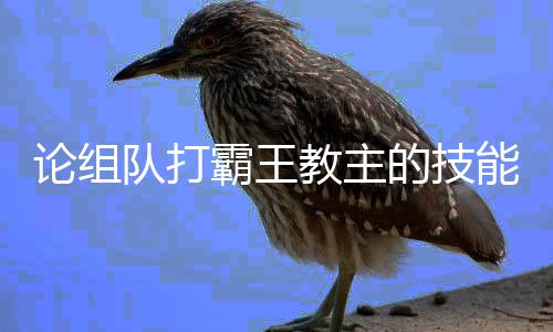 霸王能论组队打的技教主