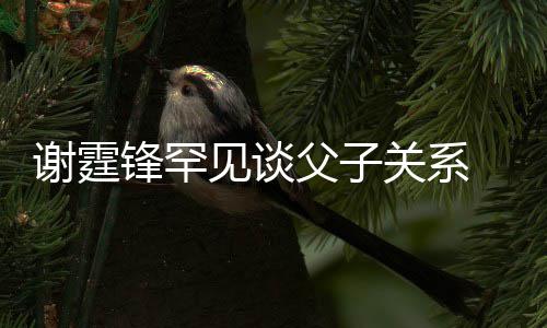 美食亲谢谢霆贤和通过锋罕父子 已与父见谈解关系