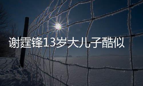 爸 柏芝牵手谢霆子酷大儿锋13岁似爸拒绝和张逛街