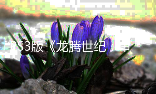 3版龙宣告正式的腾世 服审判时代纪结束务器关闭