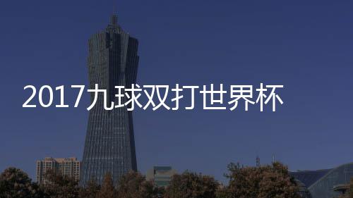 杯录比赛美国像 之一芬兰双打世界四分视频九球